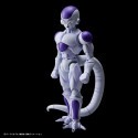 FIG RISE DBZ Forme finale Congélateur