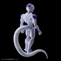 FIG RISE DBZ Forme finale Congélateur