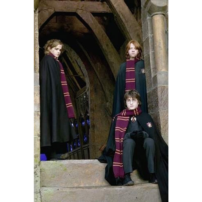 Cinereplicas Harry Potter écharpe Gryffondor