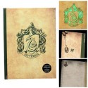 Harry Potter cahier lumineux Slytherin