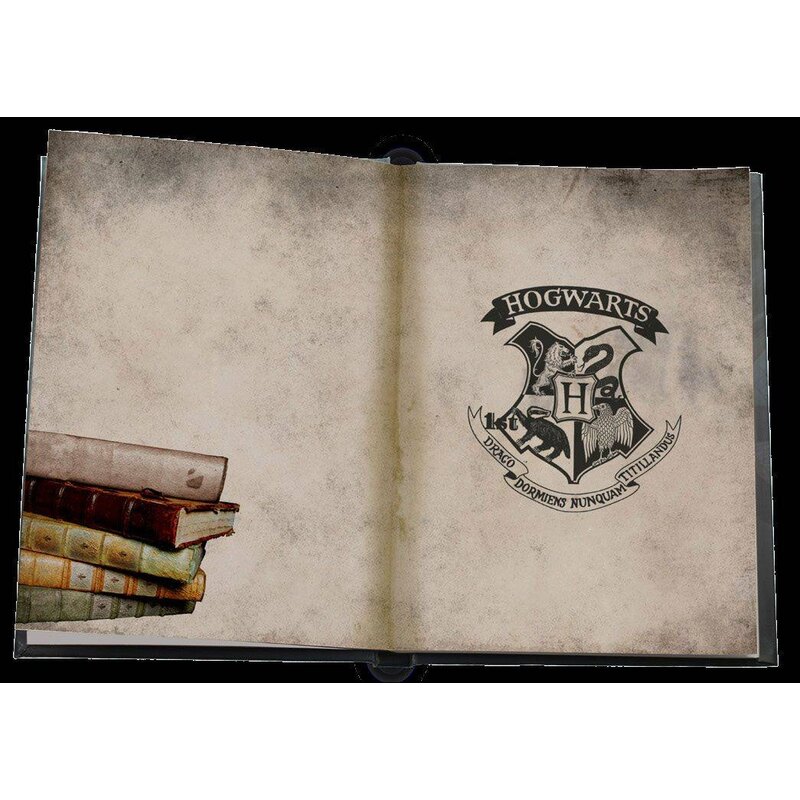 Harry Potter cahier lumineux Slytherin