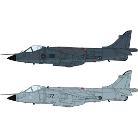 Bae Sea Harrier FRS.1 "Falklands Partie 2" (2 kits dans la boîte)