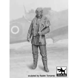 RAF Fighter pilot 1940-45 N°1