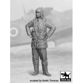 RAF Fighter pilot 1940-45 N°2