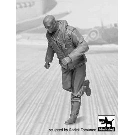 RAF Fighter Pilot 1940-1945 brouillage N ° 3