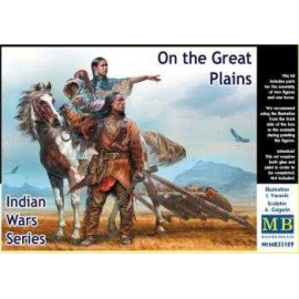 Guerres indiennes. Sur les grandes plaines