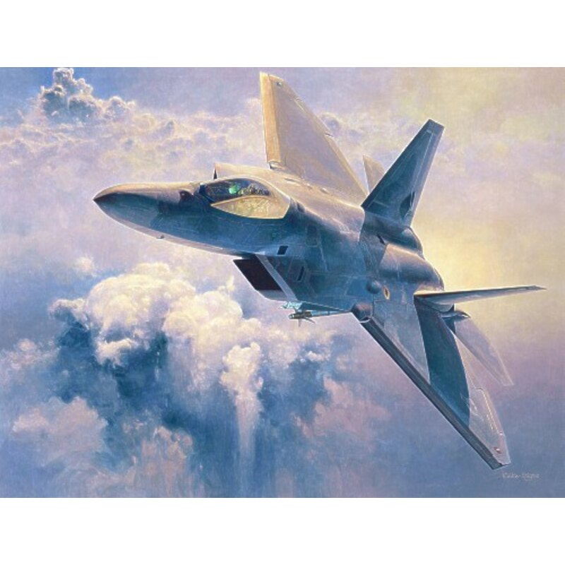 Maquette avion Lockheed Martin F-22 Raptor