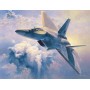 Maquette avion Lockheed Martin F-22 Raptor