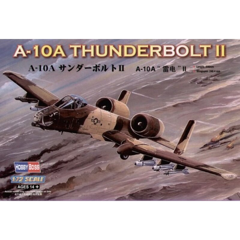 Fairchild A-10A Thunderbolt II 