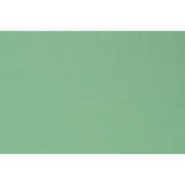  Carton coloré, A2 420x600 mm, 180 gr, vert pré, 10flles