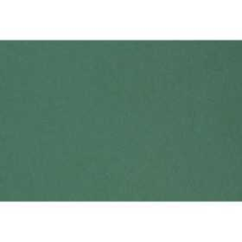  Carton coloré, A2 420x600 mm, 180 gr, vert sapin, 10flles