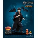 Harry Potter My Favourite Movie figurine 1/6 Harry Potter (Child) Halloween Limited Edition 25 cm