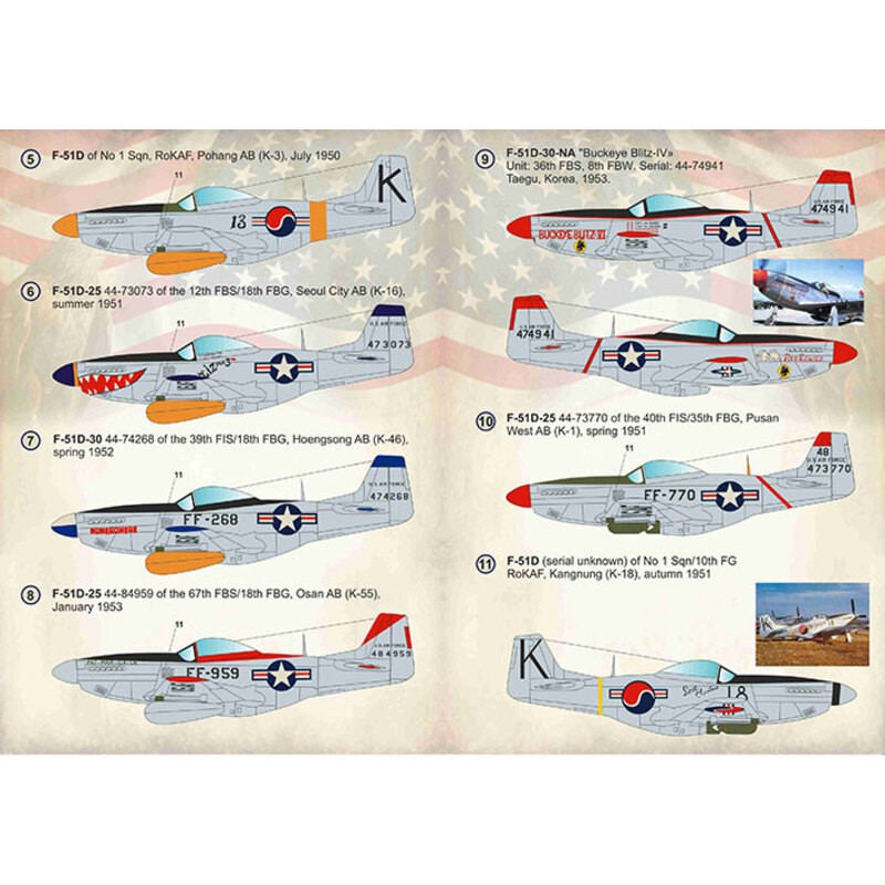 Décal Mustang F-51 nord-américain. Unités de la guerre de Corée 1. F-51D-25 45-11410 du 45th TRS / 67th TRW, Taegu AB (K-2), été