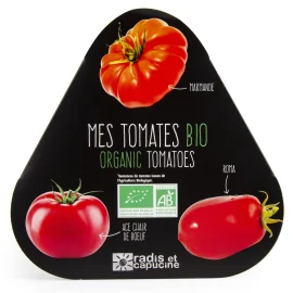 Plateau triop pots zinc tomates