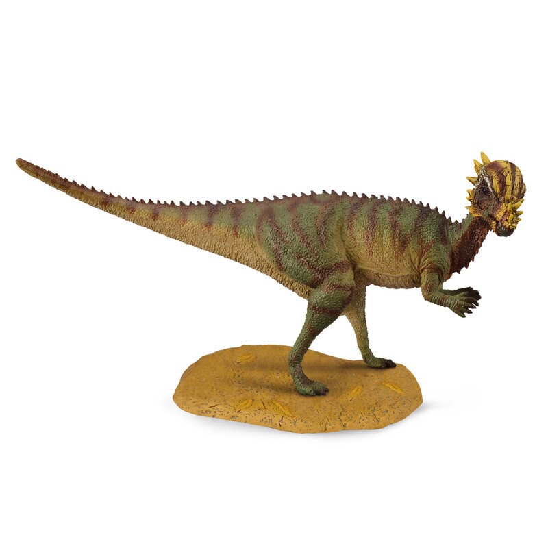 Collecta Dinosaure (M): PACHYCEPHALOSAURUS 12.8x5.7cm