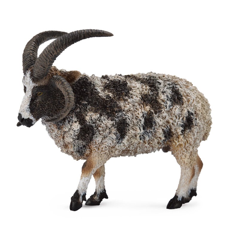 Collecta La ferme (L): MOUTON JACOB 8.4x7.6cm