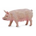 Collecta La ferme (M): TRUIE 10x4.9cm