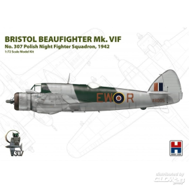 Beaufighter Mk. VIF 307 m² polonais
