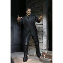 Universal Monsters figurine Ultimate Frankenstein's Monster (Color) 18 cm