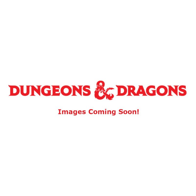 D&D Icons of the Realms Premium Set : Set 22 Premium Set 1