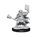 Dungeons & Dragons Frameworks miniature Model Kit Dwarf Cleric Female