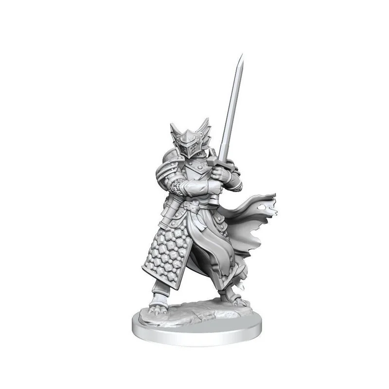 Dungeons & Dragons Frameworks miniature Model Dragonborn Paladin Male