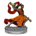 Dungeons & Dragons Frameworks miniature Model Elf Monk Male