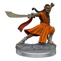 Dungeons & Dragons Frameworks miniature Model Elf Monk Male