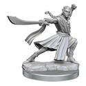 Dungeons & Dragons Frameworks miniature Model Elf Monk Male