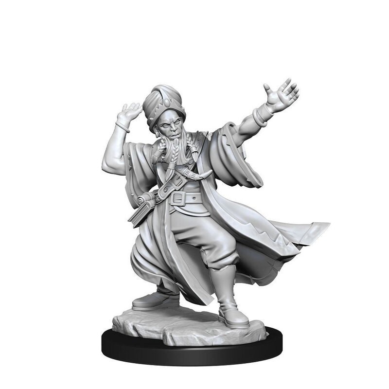 Dungeons & Dragons Frameworks miniature Model Human Wizard Male