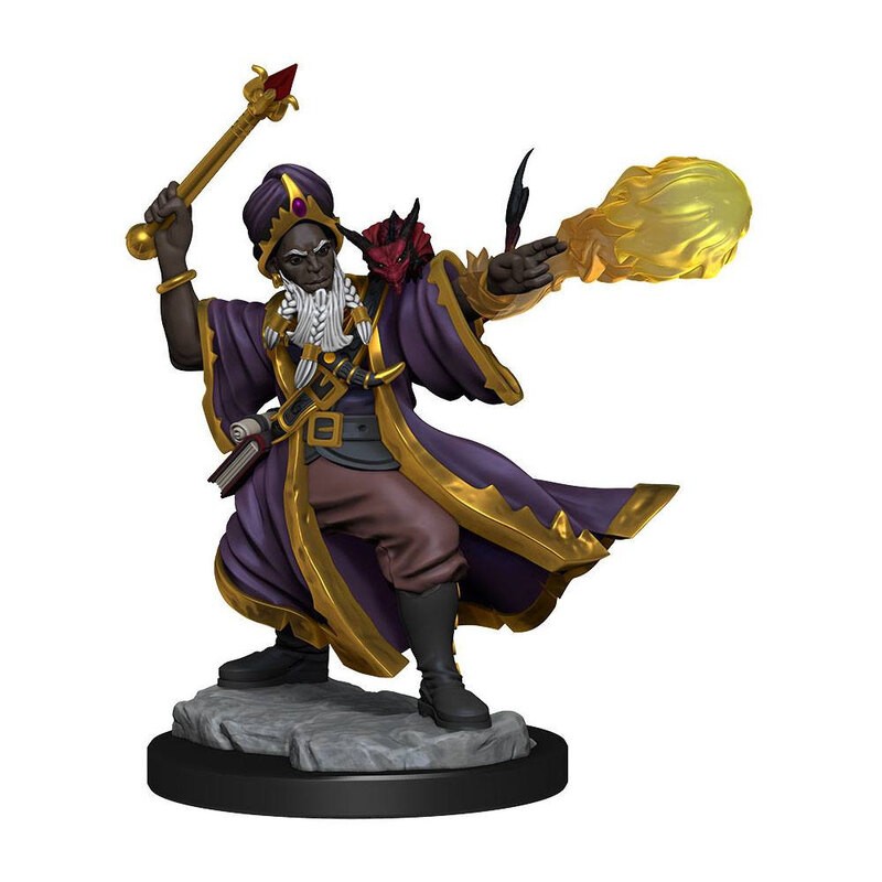 Dungeons & Dragons Frameworks miniature Model Human Wizard Male