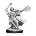 Dungeons & Dragons Frameworks miniature Model Human Wizard Male