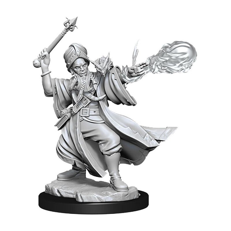 Dungeons & Dragons Frameworks miniature Model Human Wizard Male