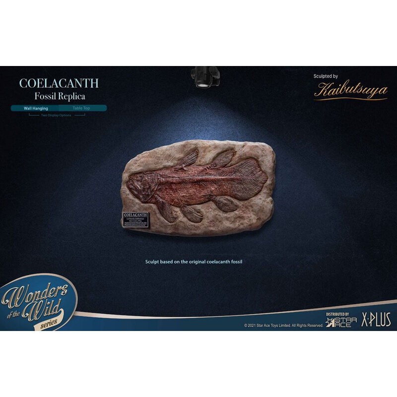 Wonders of the Wild mini réplique Coelacanth Fossil 32 cm