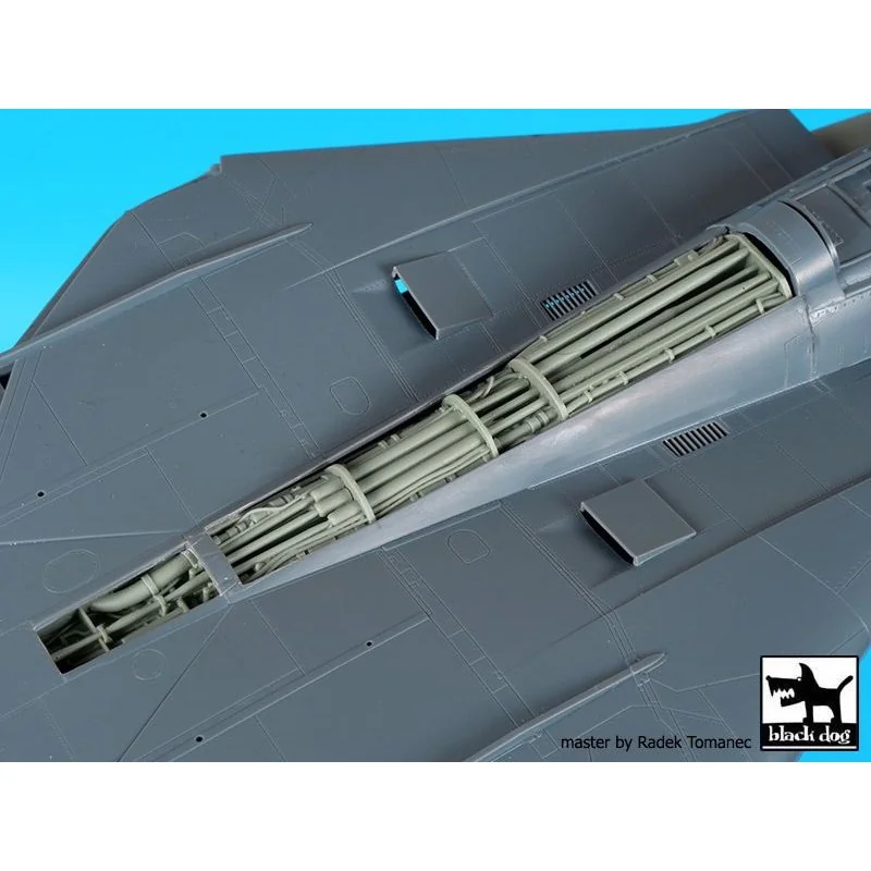 Électronique de colonne vertébrale Grumman F-14D Tomcat (conçue pour être utilisée avec les kits Avant Garde)