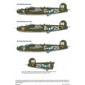 Décal Ensemble d'identification de numérotation et de lettrage B-24 Liberator consolidé (finition camouflage)