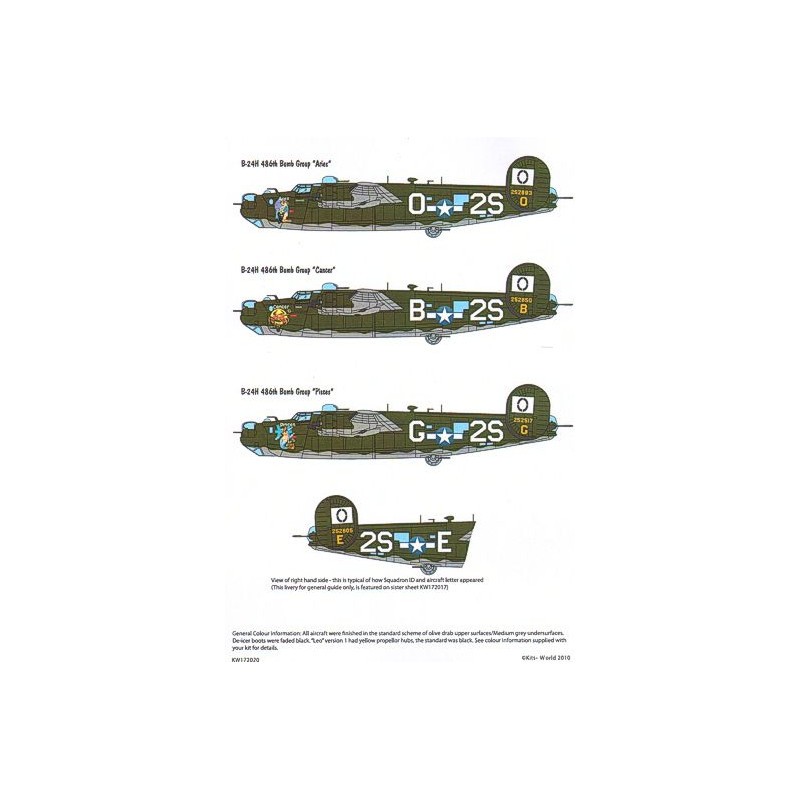 Décal Ensemble d'identification de numérotation et de lettrage B-24 Liberator consolidé (finition camouflage)