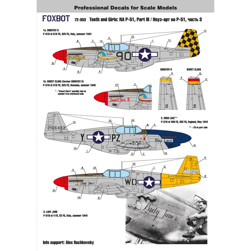 Décal Art nord-américain du nez du P-51 Mustang, partie 3