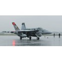 F/A-18E RET CHIPPY 