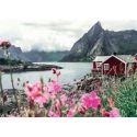 Puzzle 1000 p - Reine, Lofoten, Norvège (Puzzle Highlights)