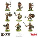 Slaine: Drune Warband