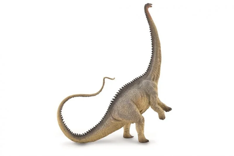 Collecta Dinosaure (XL): DIPLODOCUS gris 19.4x22.8cm