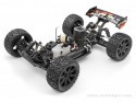 VORZA TRUGGY NITRO