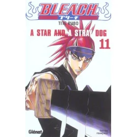 Bleach Tome 11 - A Star And A Stray Dog