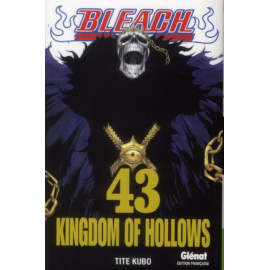 Bleach Tome 43 - Kingdom Of Hollows