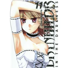 Brynhildr In The Darkness Tome 11