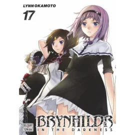 Brynhildr In The Darkness Tome 17