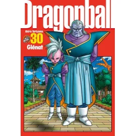 Dragon Ball Tome 30 - Perfect Édition