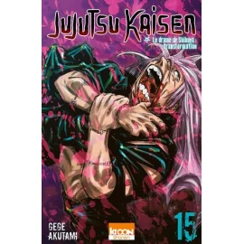 Jujutsu Kaisen Tome 15 