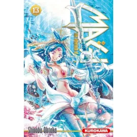 Magi Tome 13 - The Labyrinth Of Magic